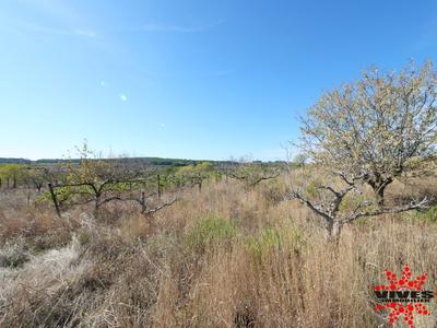 Terrain agricole - 5 075 m²