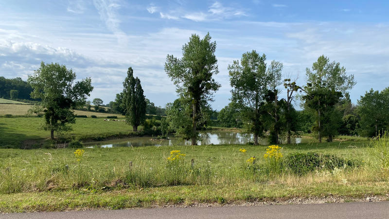 Terrain constructible - 1 300 m²