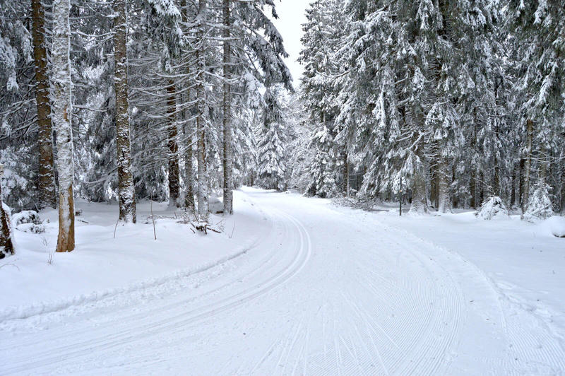 Partie de cache-cache avec Till et Froll