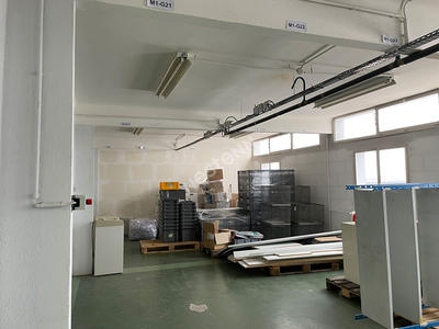 Local d'activité / Entrepôt - 350 m²