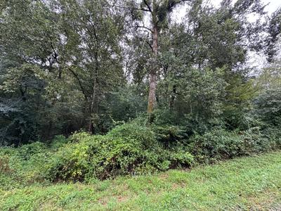 Terrain - 159 203 m²