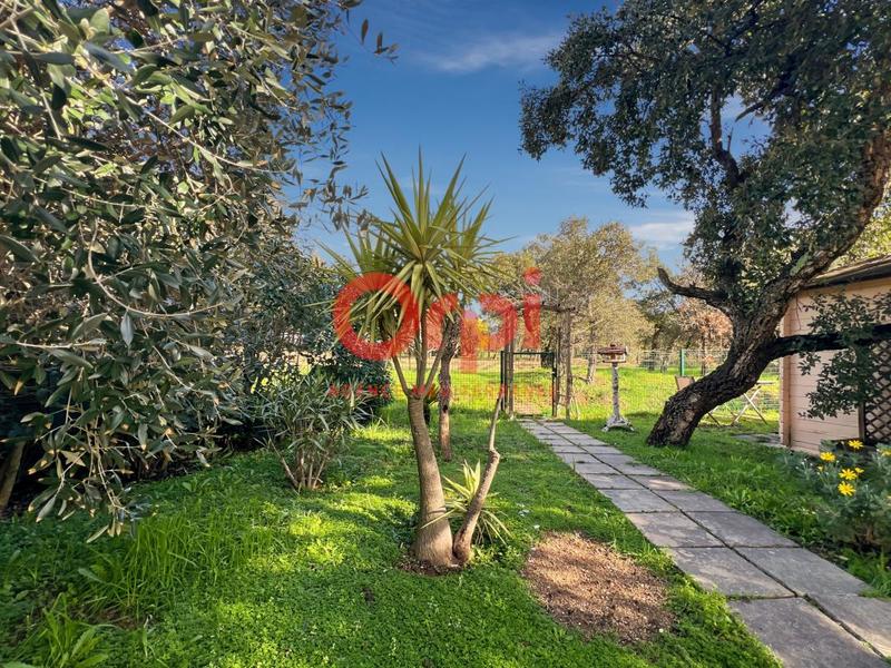 Villa - 77 m² - 3 pièces