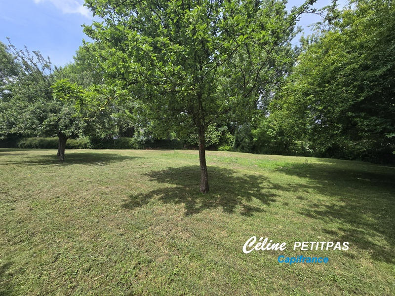 Terrain constructible - 1 230 m²