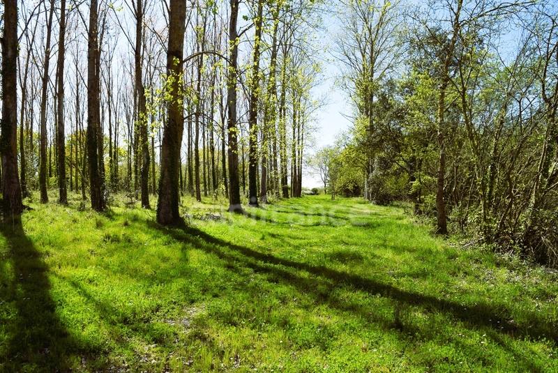 Maison - 120 m² - 10 pièces