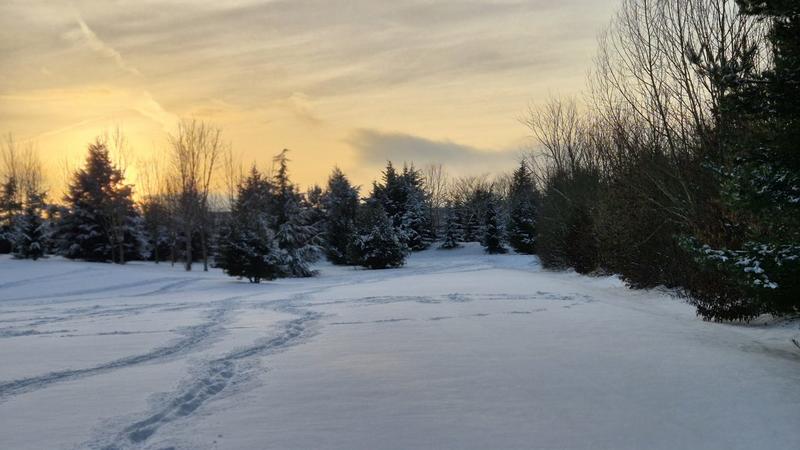 Appartement - 77 m² - 4 pièces