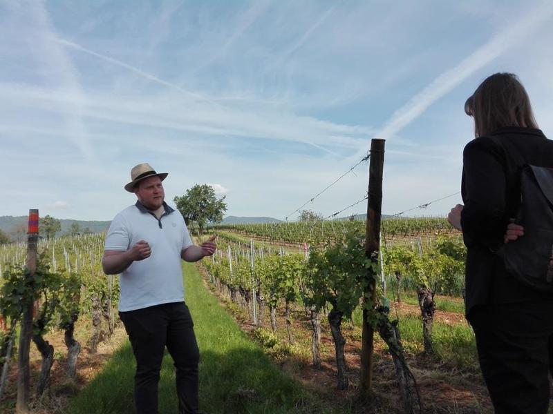 La Parenthèse Authentique avec le Domaine Specht