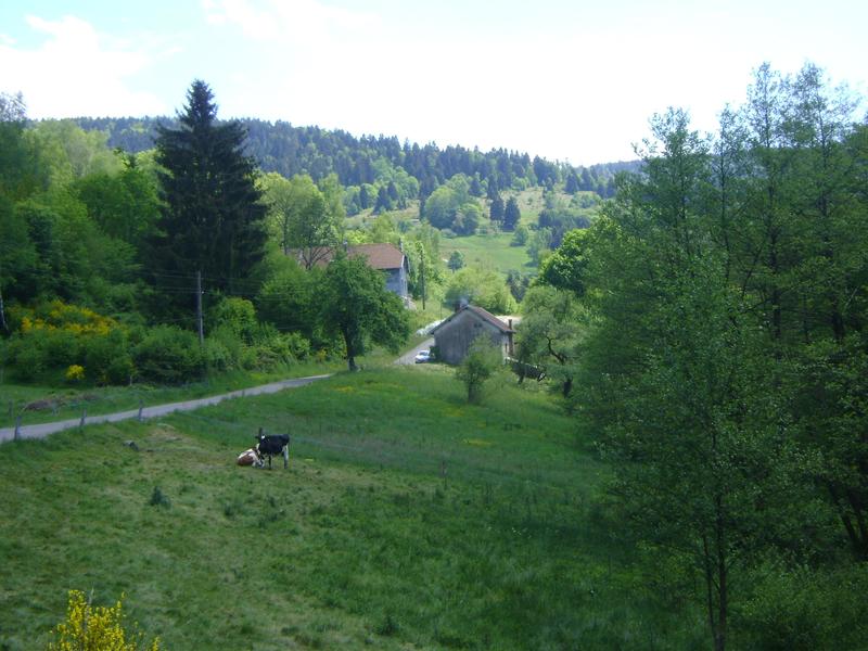 Appartement - 77 m² - 4 pièces