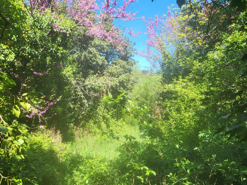 Maison ancienne - 310 m² - 10 pièces