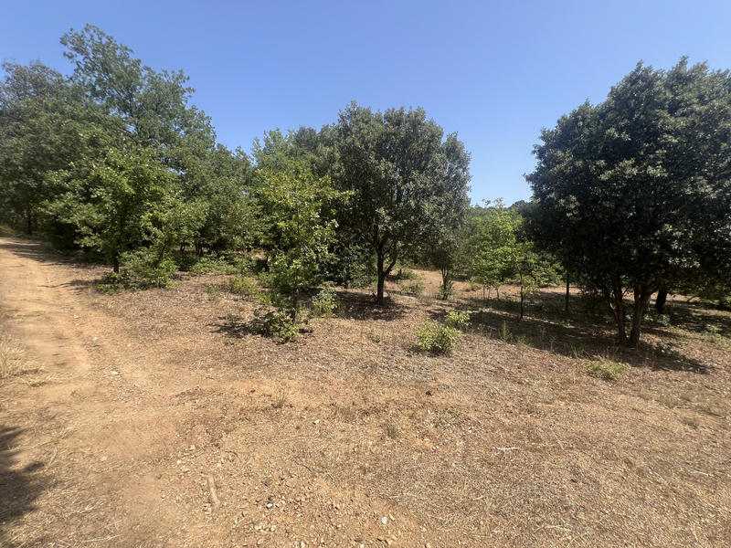 Terrain de loisirs - 10 100 m²