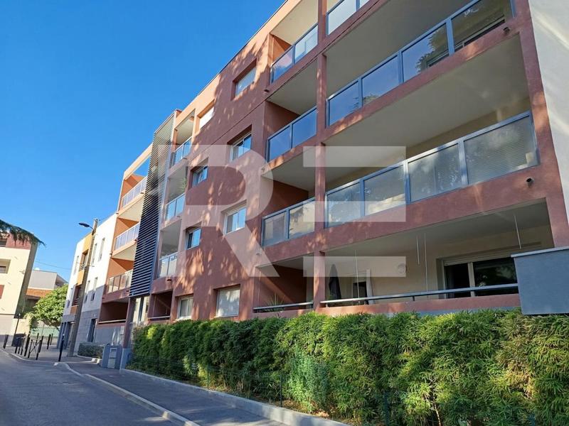 Studio - 31 m² - 1 pièce