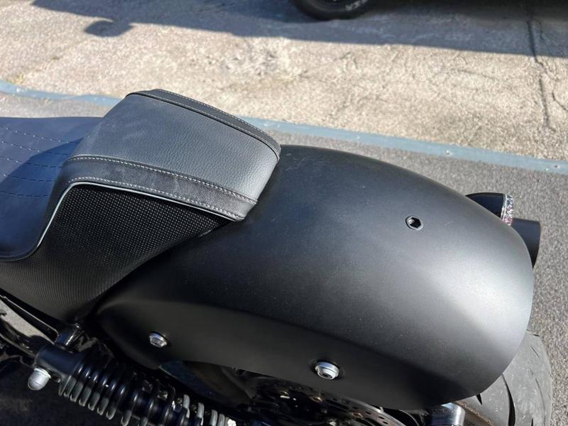 Indian Chief Dark Horse