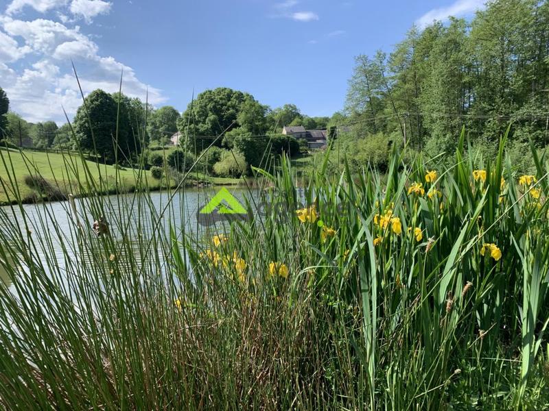 Propriété - 270 m² - 11 pièces