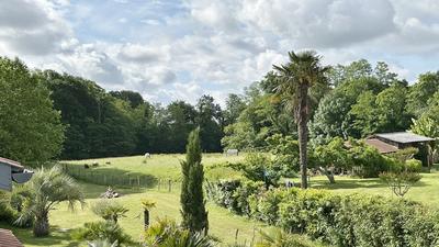 Maison - 312 m² - 9 pièces