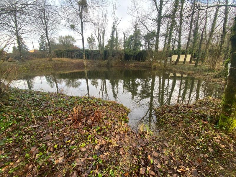 Terrain constructible - 3 000 m²