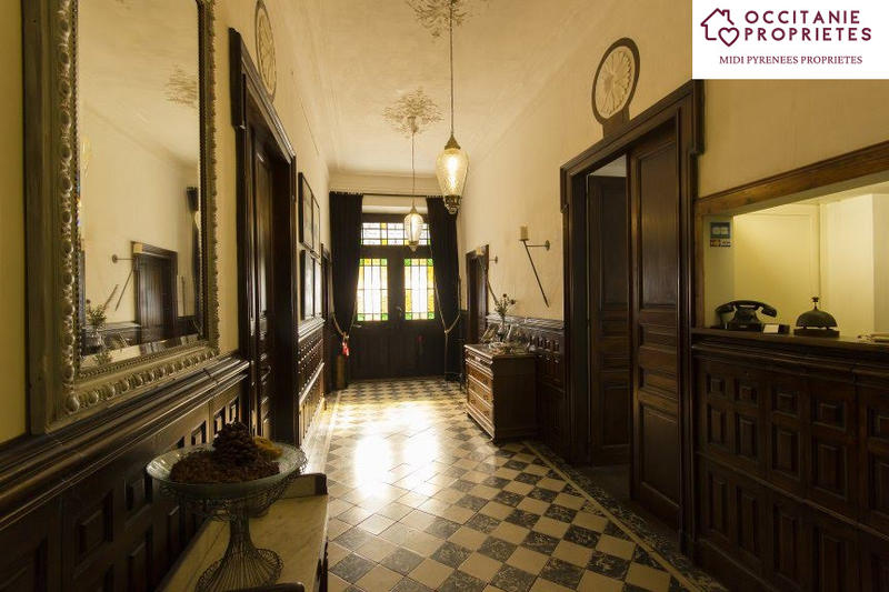 Château - 810 m² - 11 pièces