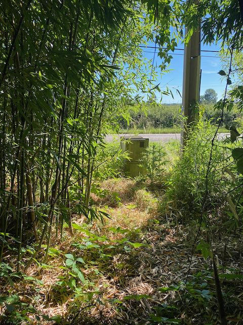 Terrain de loisirs - 4 917 m²