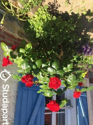 Chambre - 14 m² - 1 pièce