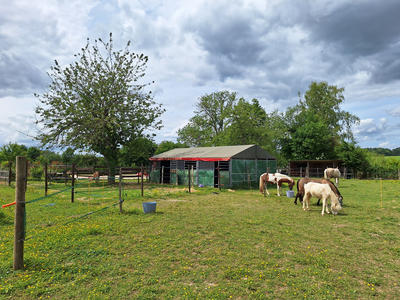 Maison - 127 m² - 5 pièces