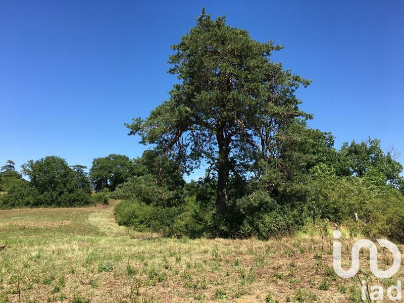 Terrain - 16 285 m²