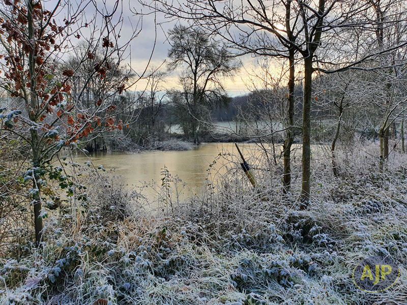 Terrain - 11 502 m²