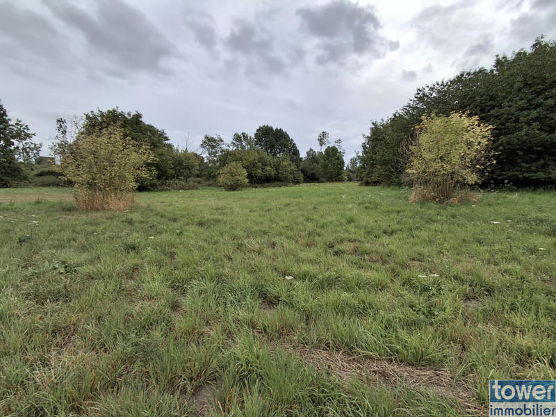 Terrain - 10 000 m²