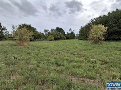 Terrain - 10 000 m²