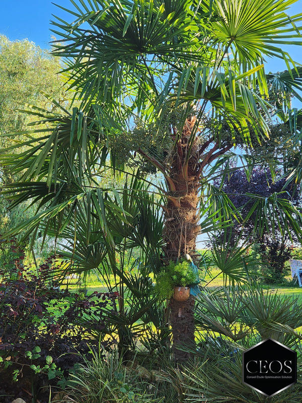 Maison - 280 m² - 8 pièces