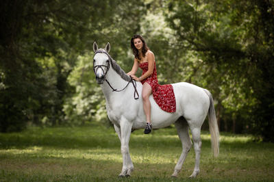 Saisir l'Instant Photographie