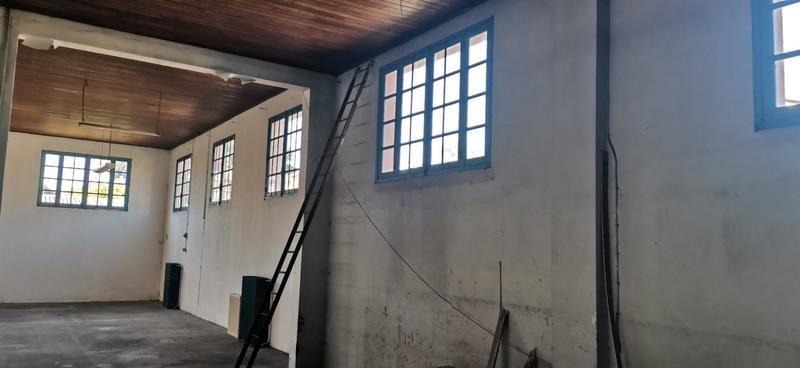 Bureau - 1 200 m² - 8 pièces