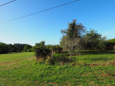 Terrain - 250 m²