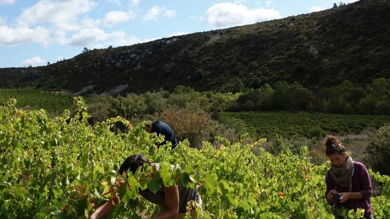 Domaine de Couchalou