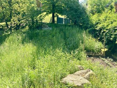 Terrain - 842 m²