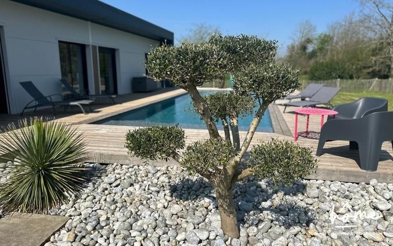 Maison contemporaine - 300 m² - 10 pièces