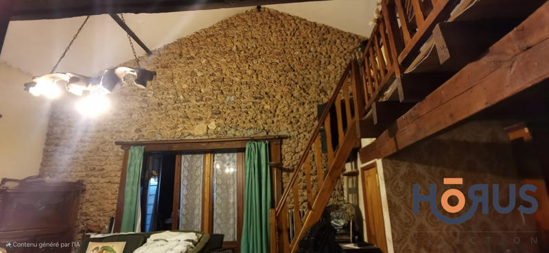 Viager - Maison ancienne - 170 m² - 7 pièces