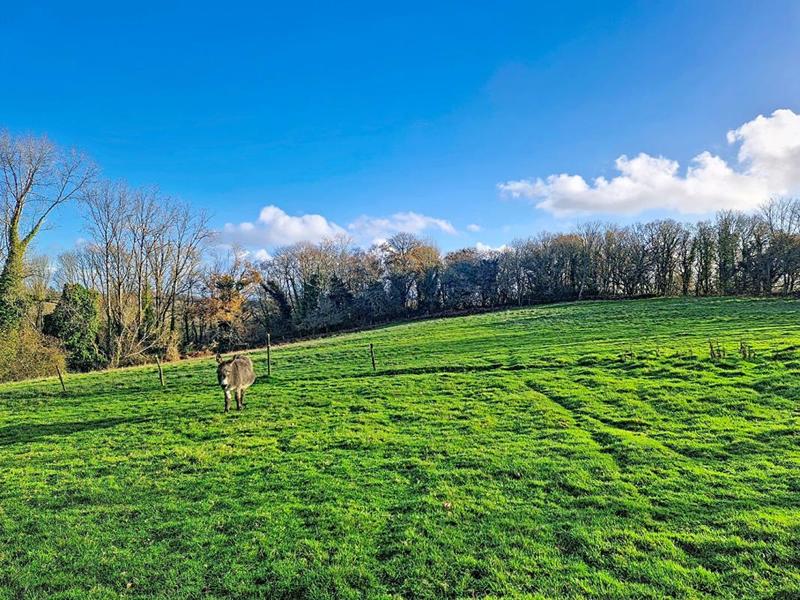 Maison - 278 m² - 13 pièces