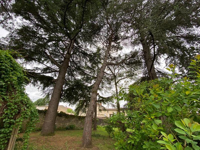 Maison - 700 m² - 15 pièces