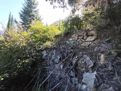 Terrain agricole - 1 625 m²