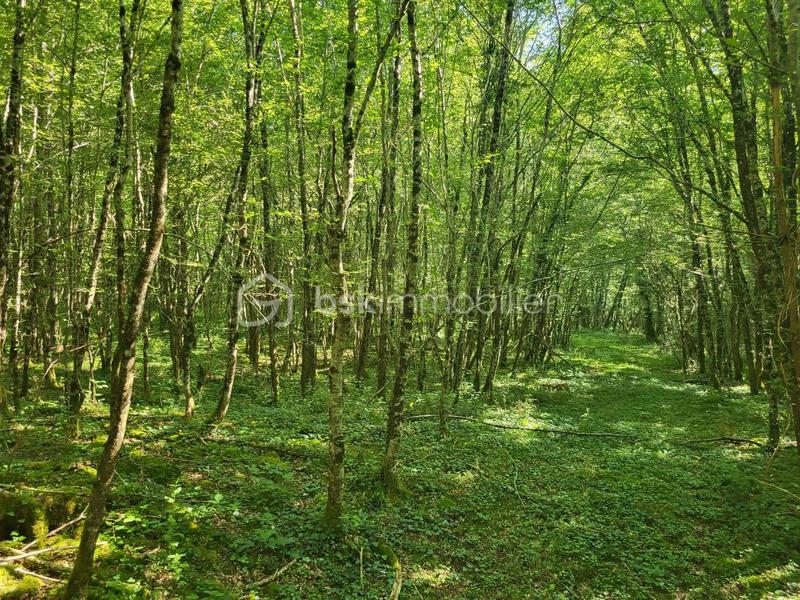 Terrain agricole - 107 573 m²