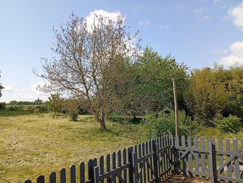 Maison - 130 m² - 4 pièces