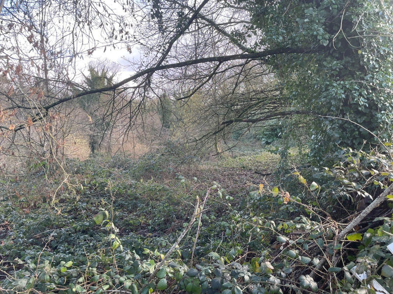 Terrain de loisirs - 9 993 m²