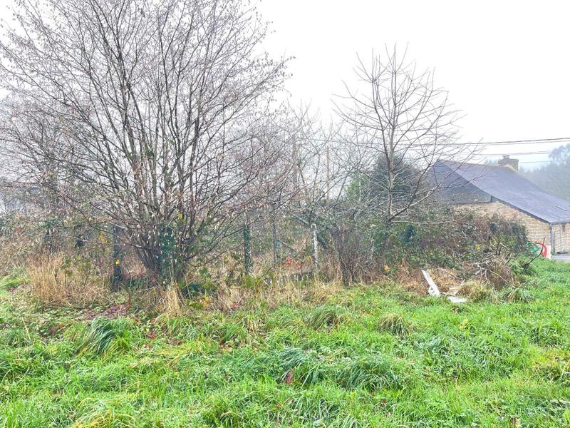 Terrain constructible - 248 m²