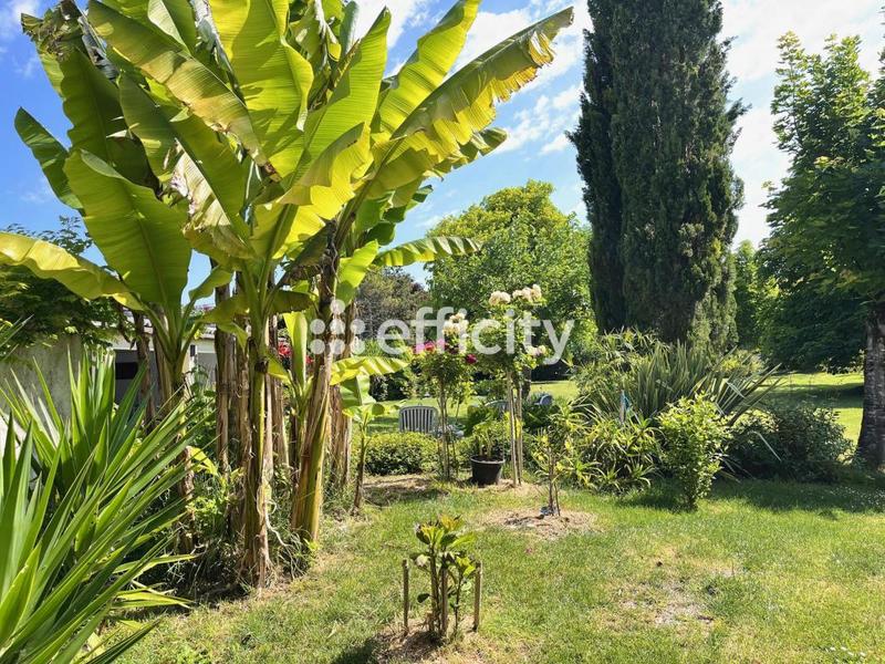 Demeure - 420 m² - 6 pièces