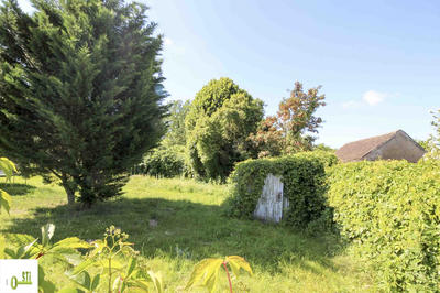 Terrain - 431 m²