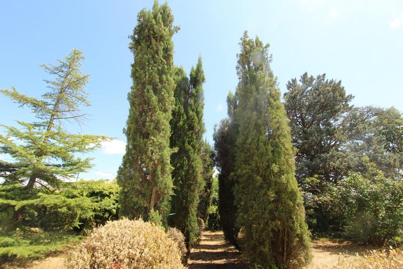 Maison - 195 m² - 8 pièces