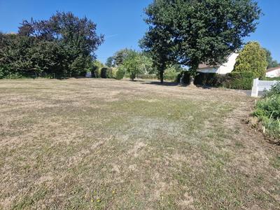 Local commercial - 210 m²