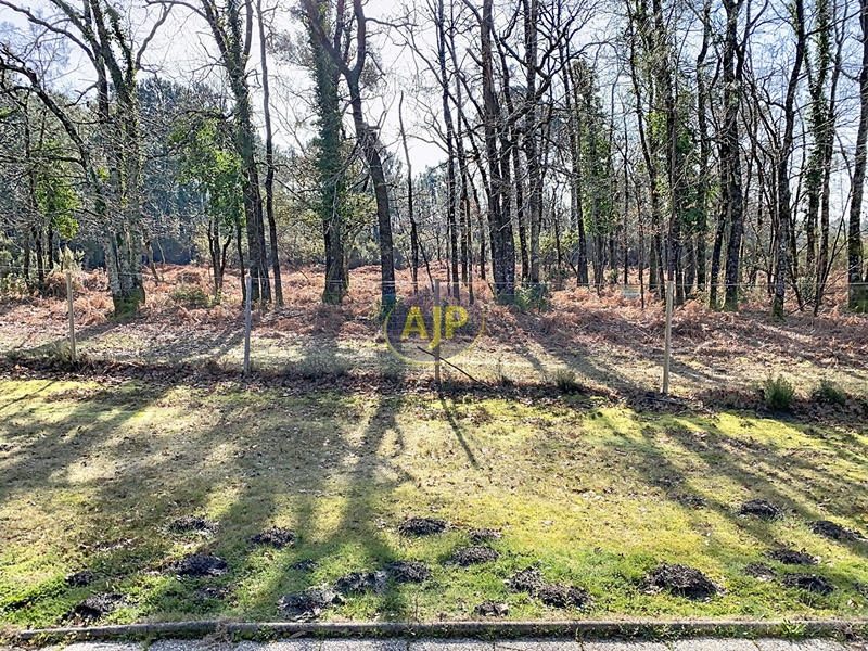 Maison - 36 m² - 3 pièces