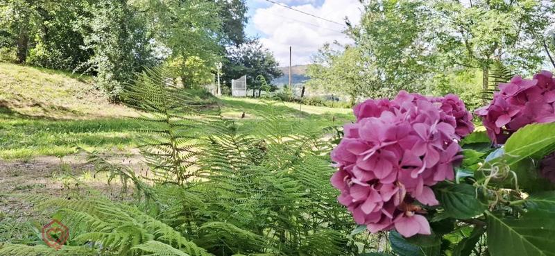 Château - 288 m² - 9 pièces