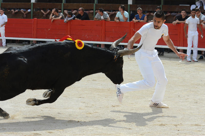 Les spectacles nocturnes aux arènes