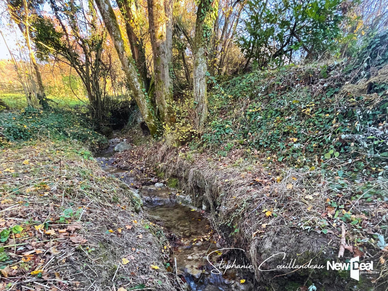 Propriété - 132 m² - 5 pièces