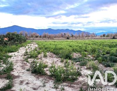 Terrain - 69 130 m²